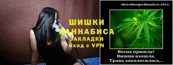 первитин Гусев