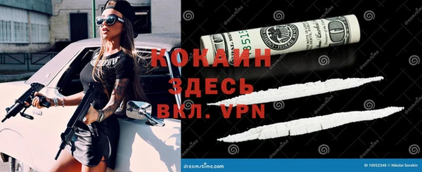 первитин Гусев