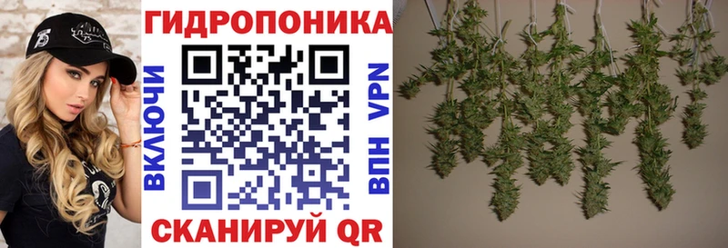 Каннабис гибрид  Купить закладки  Чаплыгин 